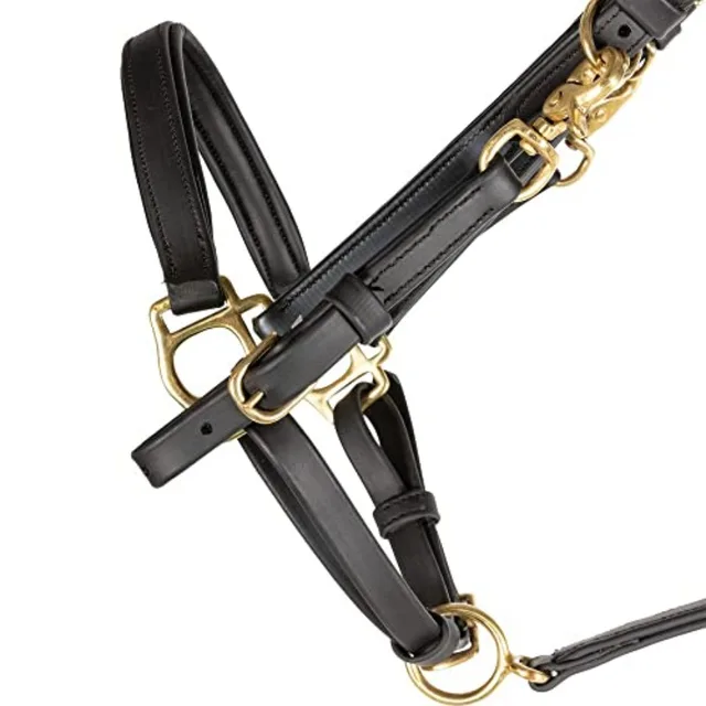 All Weather Trail Halter for Horses/Bridle Combo: Nylon Black Quick-Release Buckles UV-Resistant Material for Versatile Riding