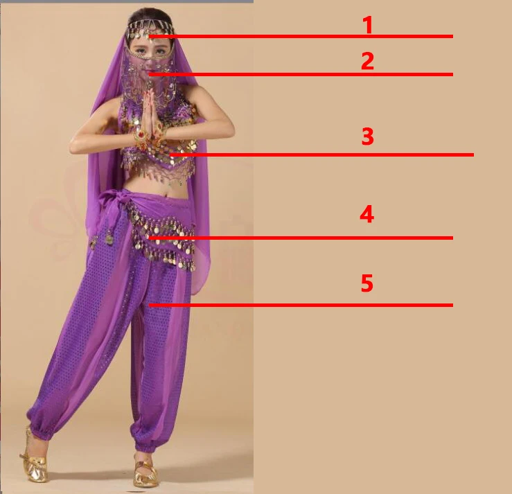 Costume de danse du ventre grande taille pour femmes, pantalon bollywood indien égyptien, robe de danse du ventre grande taille pour adultes