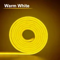 Warm White