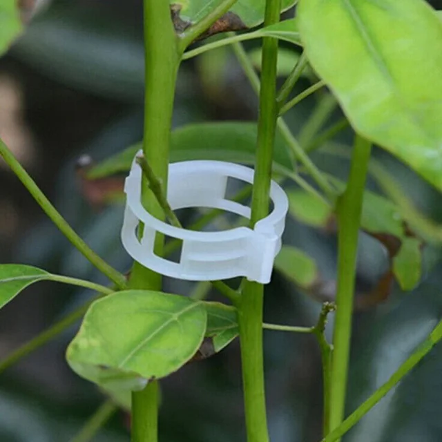 Növénytámogató Klipek Kerti Támogató Függőlegesen És Készítsenek Növényeket Csőzsikárok Szőlőbab Zöldségek Gyümölcsök Rózsa Növekszenek Egyenesen - Image 5