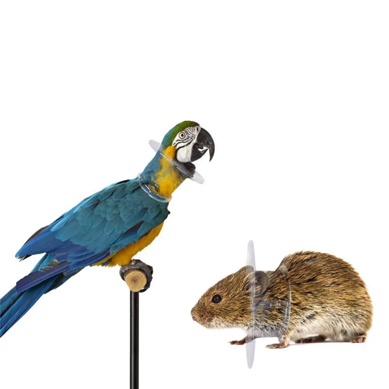 Bird Neckband Bird Acrylic Tube Collar For Severe Parrot Feather Plucking