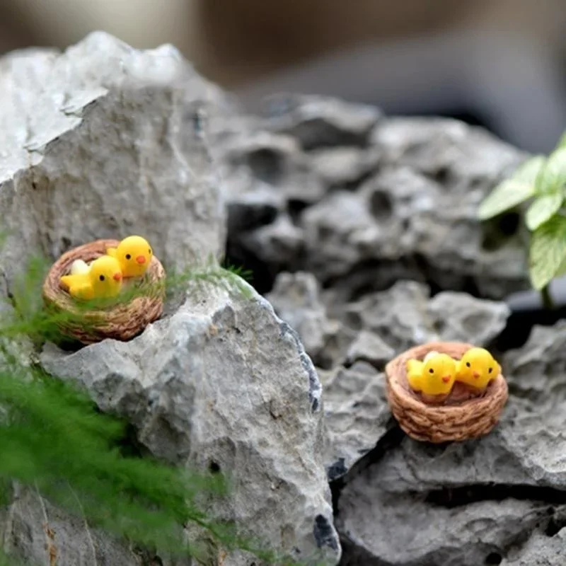 Miniature Gnomi Per Terrario – Nido Con Uccellini In Resina, Decorazione Per Giardino Fatato E Casa, 2 Cm - copertina