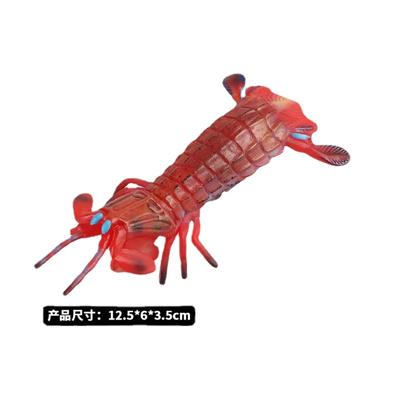 

Children's early education, marine animal model, skin shrimp, wrasse, urine shrimp, shrimp aunt, cognitive toy
