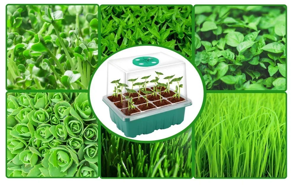 Description Picture 5 of itemPhytolamp for Indoor Plant Full Spectrum Seed Starter Trays with LED Grow Light 12 Holes Per Tray Greenhouse Garden Growing Lamp
