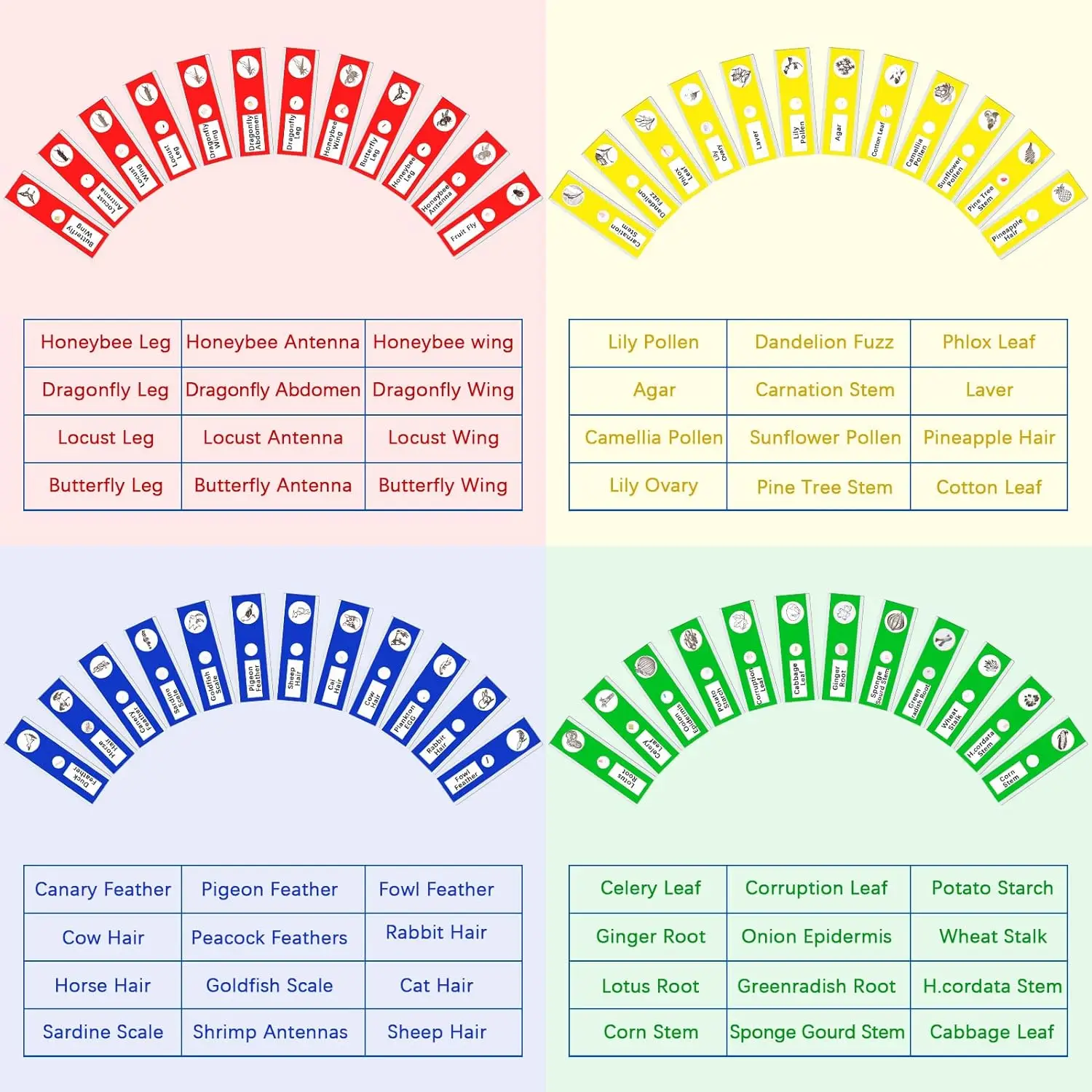120 Pcs Kids Prepared Microscope Slides Animals Insects Plants Flowers Biological Specimens  For Student School Science 4