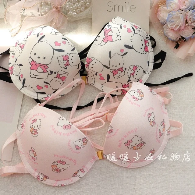 Sanrio Hello Kitty Women's Underwear Cute Cartoon Sweet Front buckle Soft  Steel Ring Sexy Hot Girl Two Piece pink Bra Set New - AliExpress