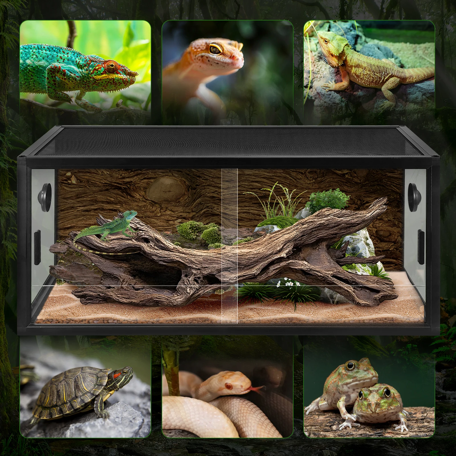 Reptile Breeding Box Lightweight Plant Gecko Ecological Tank Reptile Landscaping Container Detachable Climbing Pet Terrarium