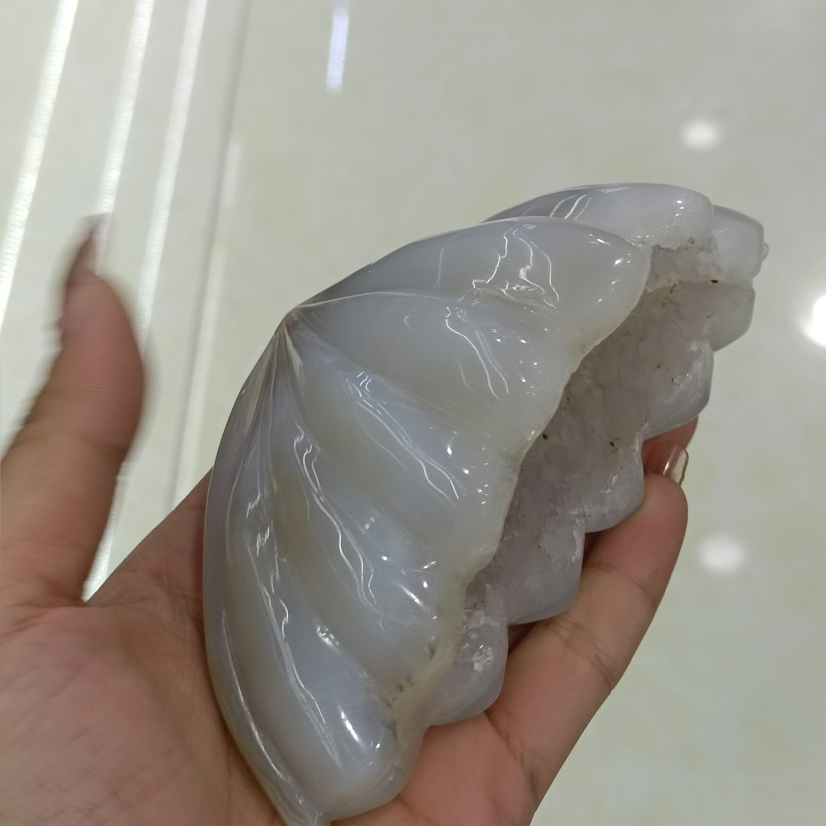 

1 шт., натуральные Агатовые кристаллы ракушки