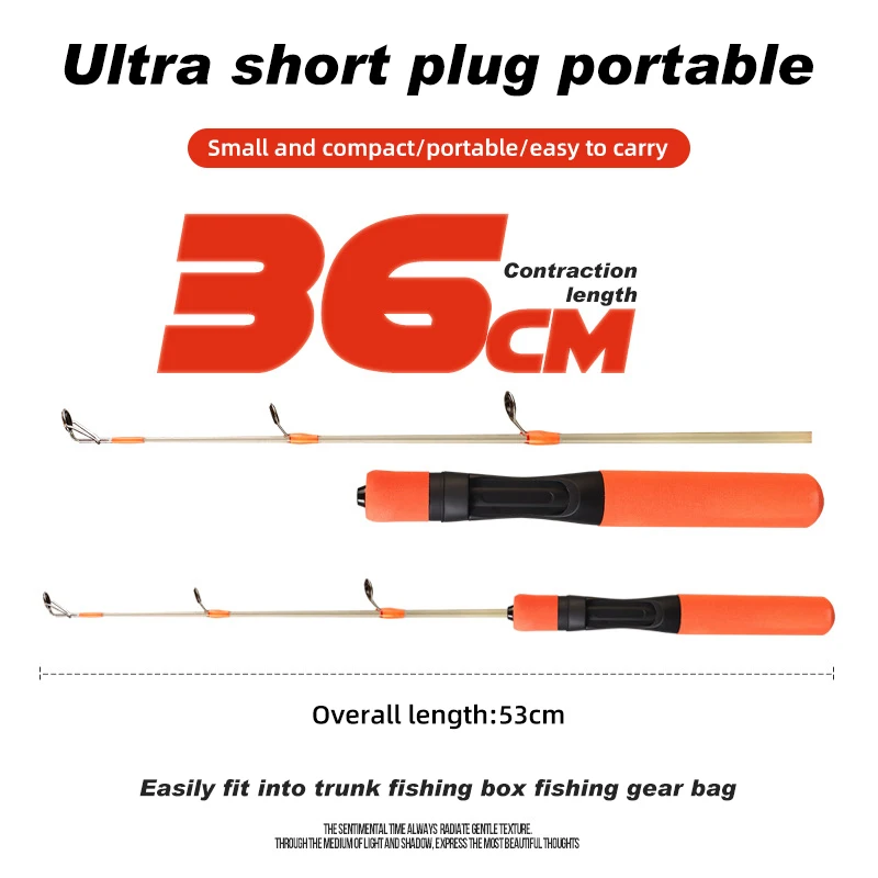 D1 Winter Ice Fishing Rod 36cm Glass Fiber Durable Hard Spinning Rods  Portable 2 Section Ultra Light Fishing Pole For River