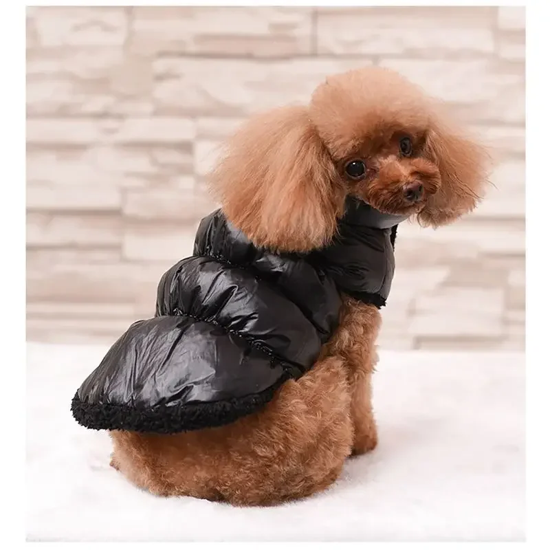 Warm Dog Clothes Winter Pet Down Jacket Dog Clothes for Small Dogs Chihuahua French Bulldog Cats Pet Costume Puppy Coats