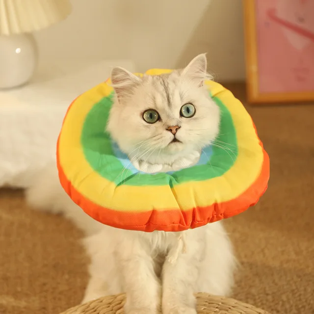 HOOPET Cat Elizabethan Collar Pet Neck Cone Soft Wearing Resistant Cat Accessories Cats Wound Healing Protective Collar for Cats 2