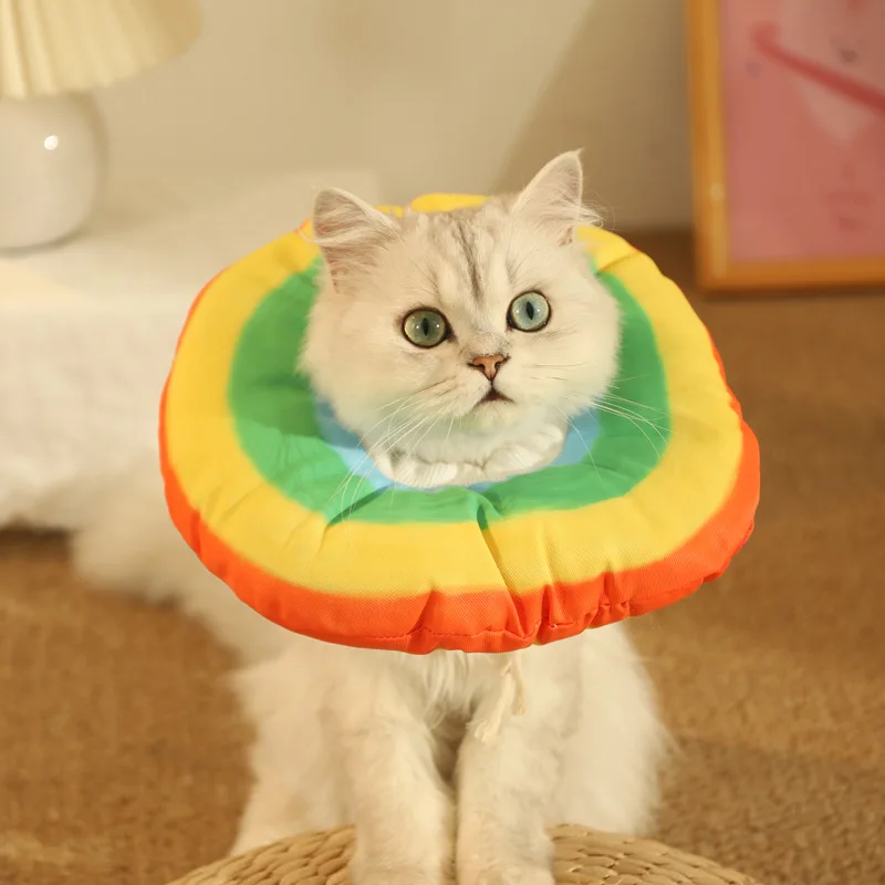 HOOPET Cat Elizabethan Collar Pet Neck Cone Soft Wearing Resistant Cat Accessories Cats Wound Healing Protective Collar for Cats 2