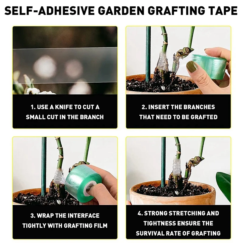 Grafting Tape Film PE Grafting Self-adhesive Garden Seedling Vine Transparent Nursery Plant Tape Plant Accessories 2/3/4/5cm For Grafting Tape