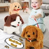 Electronic Walking and Barking Plush Dog 2