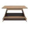 Dalin A-Frame Coffee Table with Magazine Perch, Danton's sleek design, clean lines, and a geometric A-frame shape 5