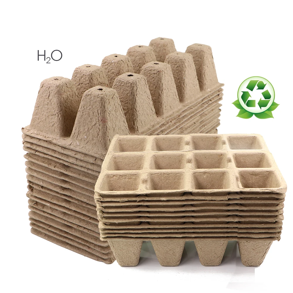 10Hole/12Hole Biodegradable Seedlings Box for Seed Germinate