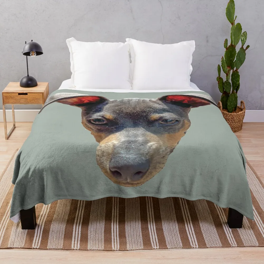 

Ziggy #2 The Min Pin Throw Blanket Loose Hair Winter beds manga Blankets