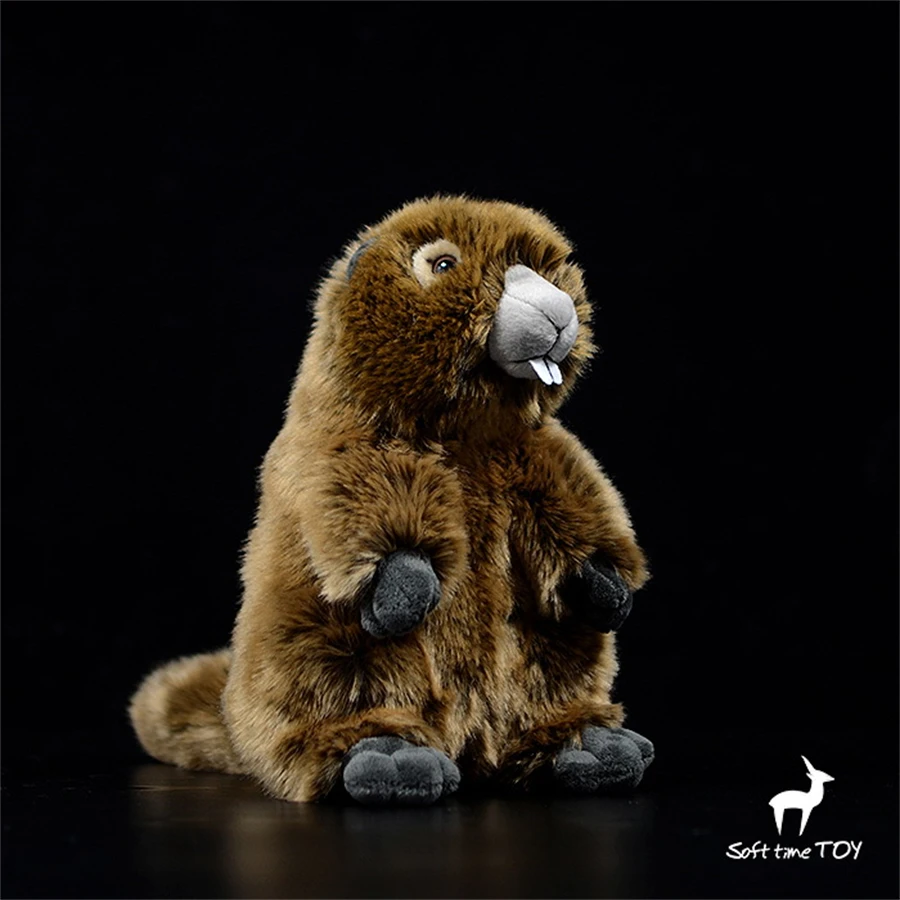 Marmot High Fidelity Cute Bobac Beaver Plushie Groundhog Peluche Animali Realistici Simulazione Bambola Di Pezza Kawai Toy Gift Kids