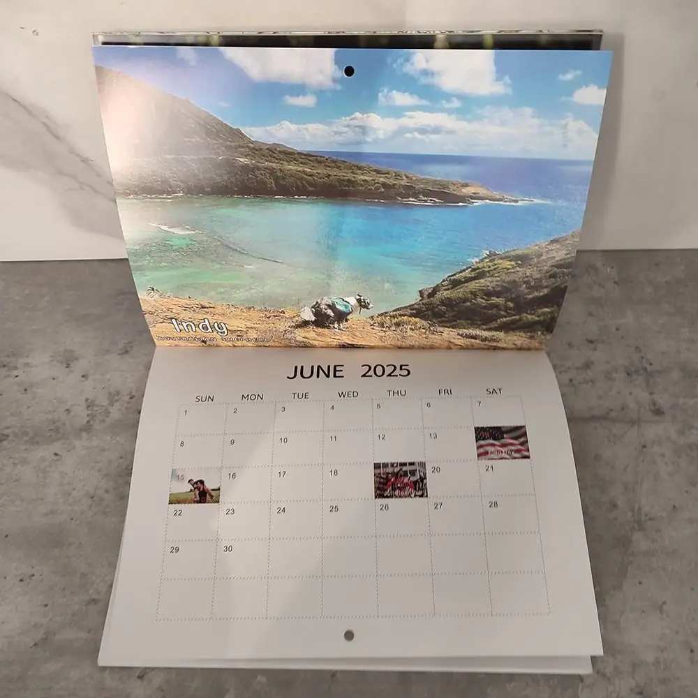 Wall Calendar 2025 Funny Dogs Pooping Daily Weekly Monthly Planner Creative Desktop Gift