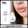 Lip Balm Deep Moisturizing Reduce Lip Lines Removal Dead Skin Exfoliating Anti Dry Long Lasting Nourishment Daily Care Lip Balm 1