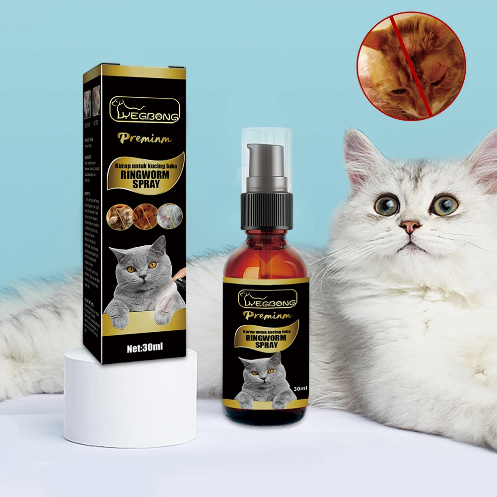 Ringworm Home Treatment For Cats corona.dothome.co.kr