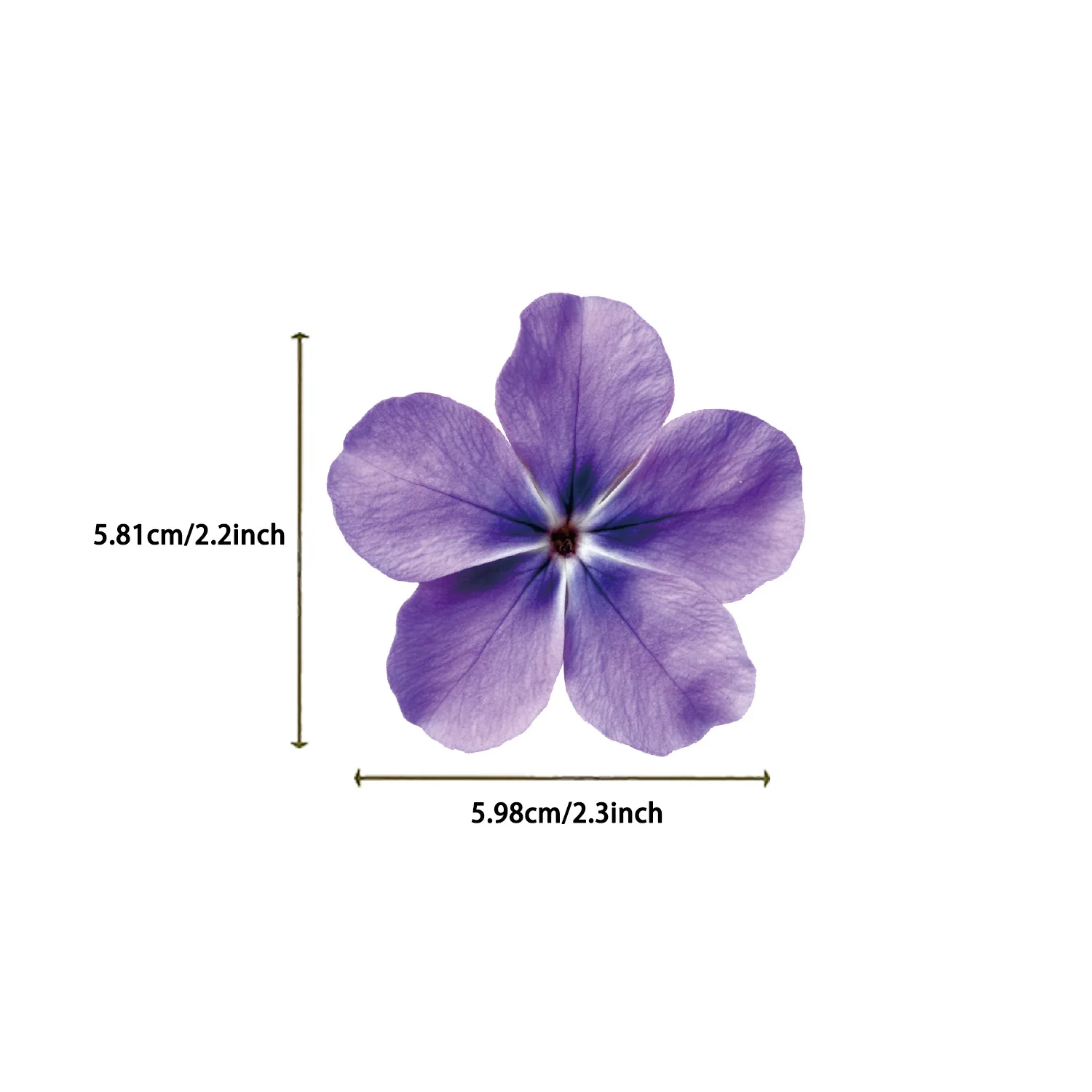50pcs Cartoon Purple Flower Series Waterproof PET Stickers DIY Scrapbooking Decoration Phone Case Water Bottle Stickers
