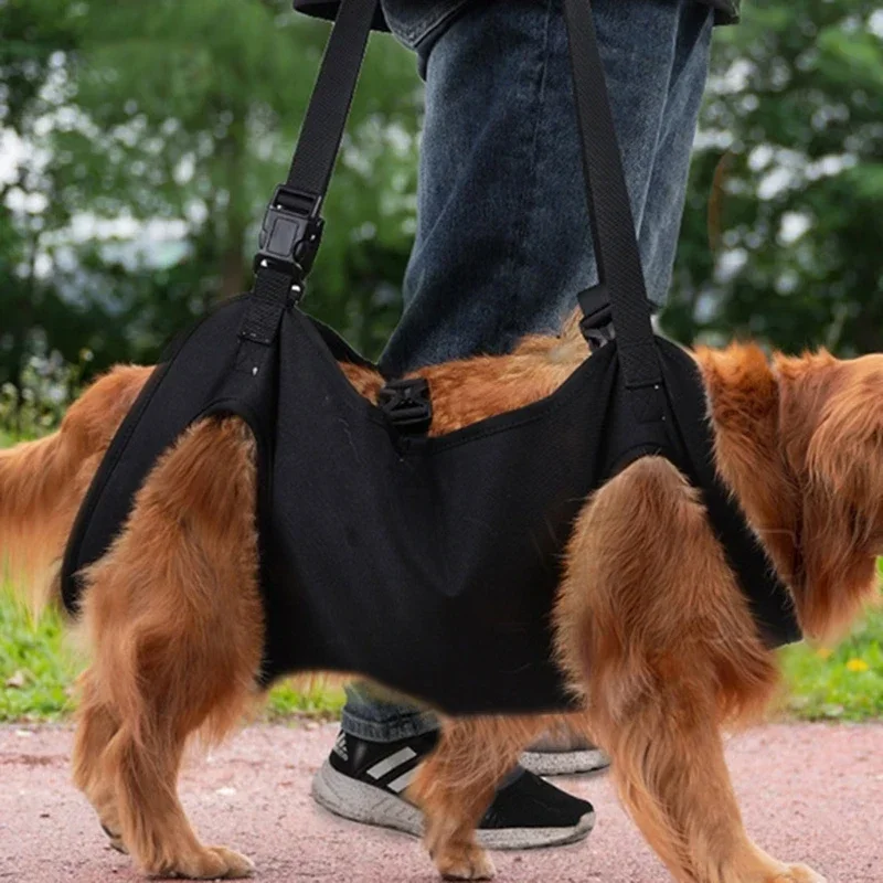 Dog Lift Harness For Large Dogs 5