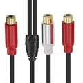 RCA female to female