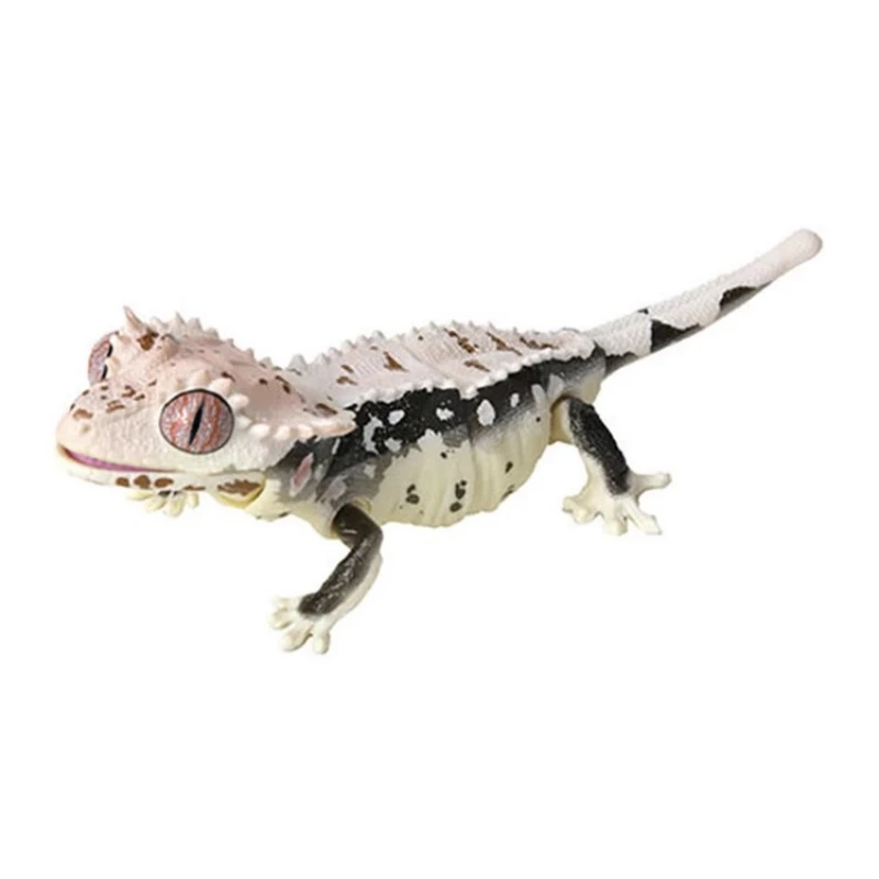 Bandai Original 5Pcs Gashapon Best lizard Animal Action Figure Toys For Kids Gift Collectible Model Ornaments images - 6