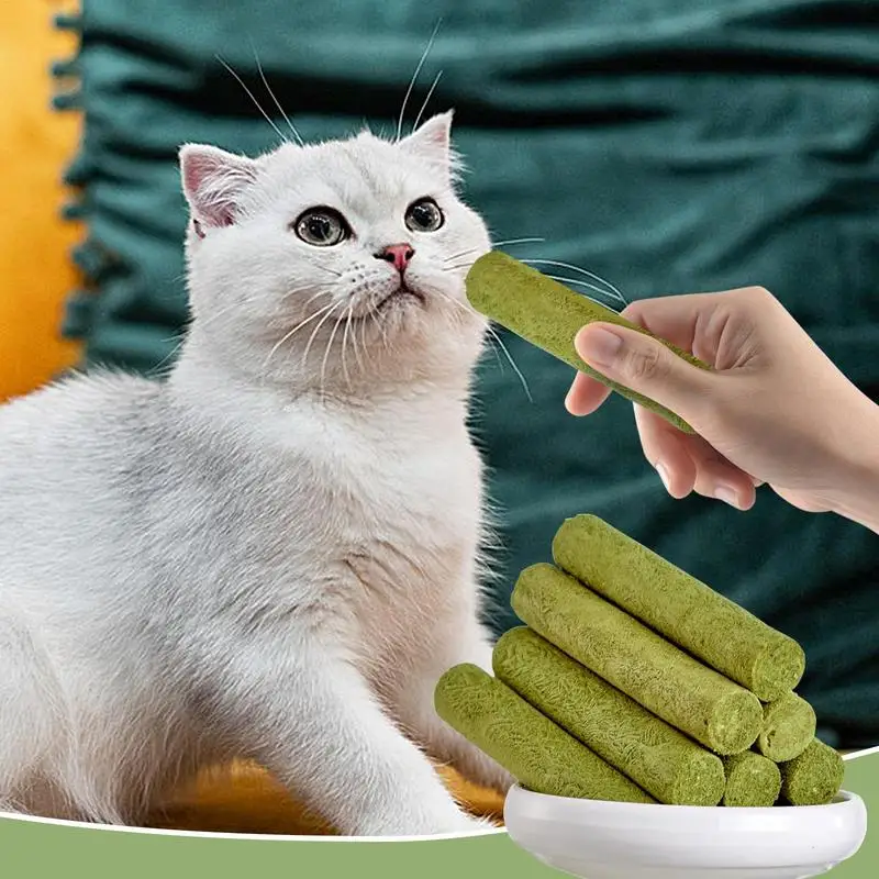 Juguete Para Masticar Gatos, Palillos Para Gatos, Cuidado Dental, 30