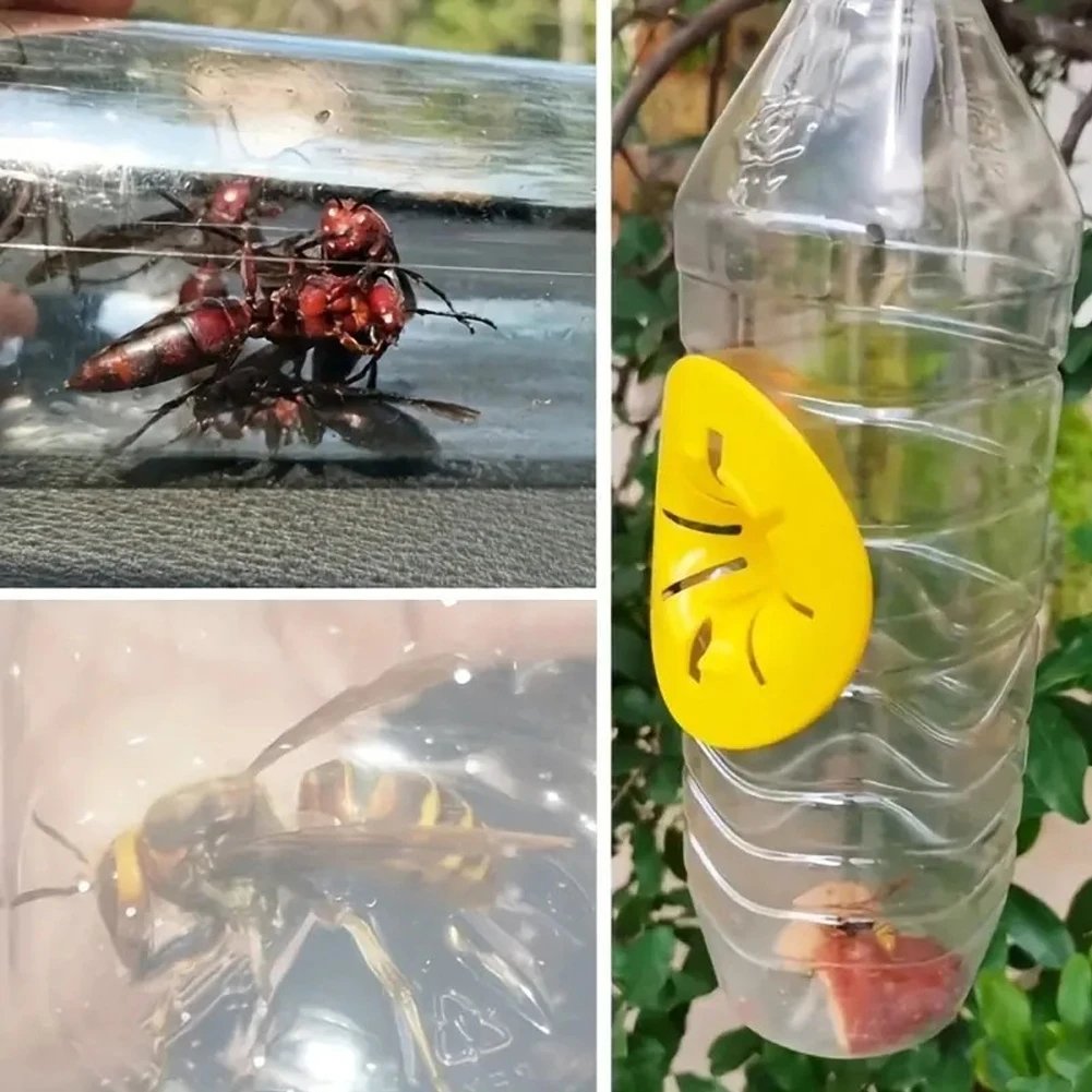 5-20Pcs Wasp Trap Catcher Reusable Flying Insects Funnel Trap Flower Shape Portable Wasp Catcher Garden Pest Control Tool