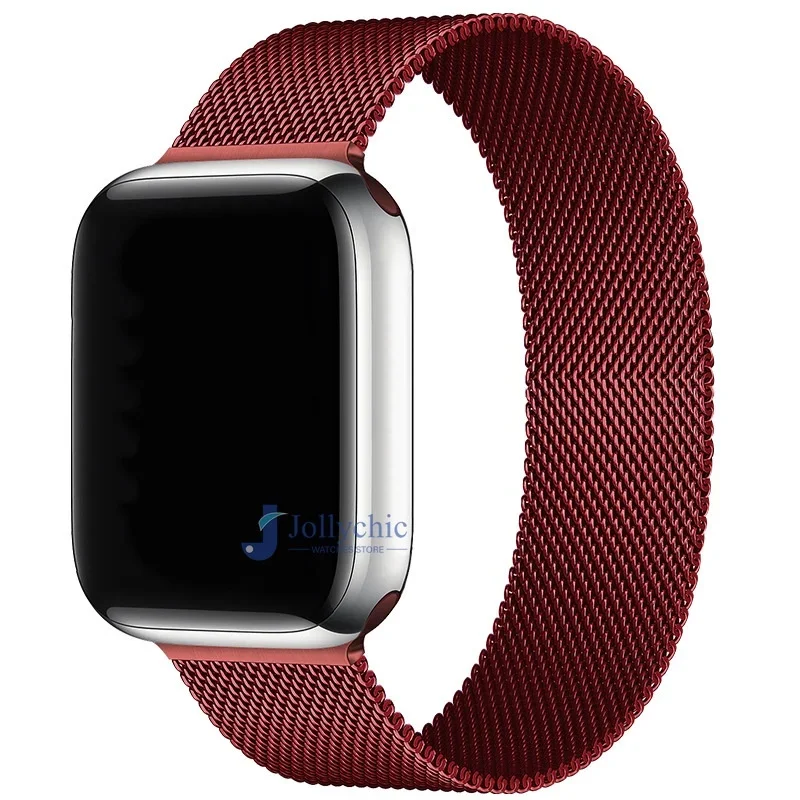 Magnetic Stainless Steel Loop Strap