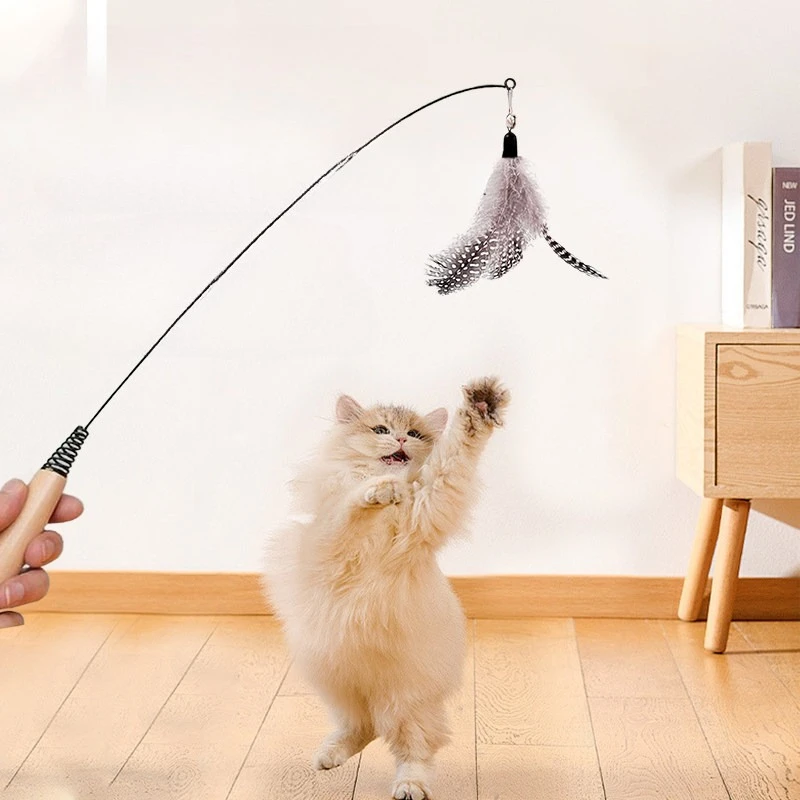 Spring Teasing Cat Stick Wooden Handle Cat Teaser Stick Toy Feather Funny Simulation Fishing Rod Bell Squeaky Toy