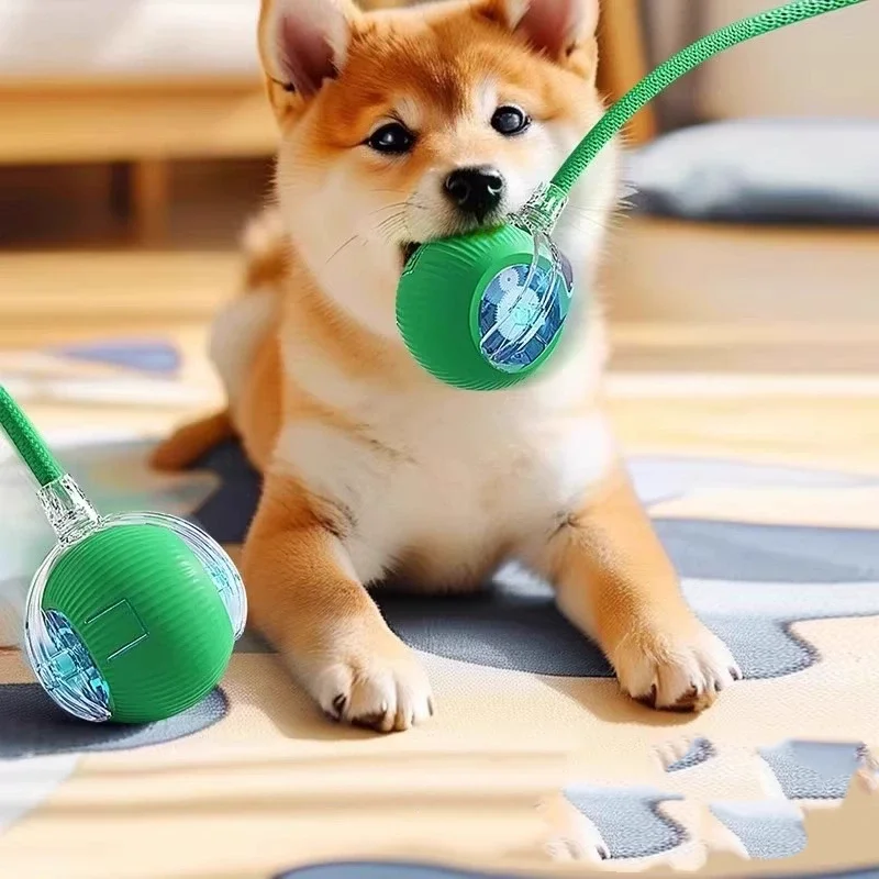 Smart Cat Toy