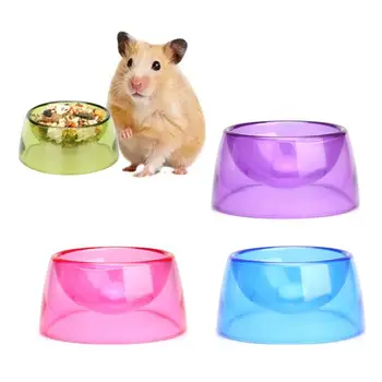 Bacino per alimenti per criceti resistente ai morsi ciotola per acqua per criceti in plastica antiscivolo piatto per acqua per alimenti per ratti trasparente