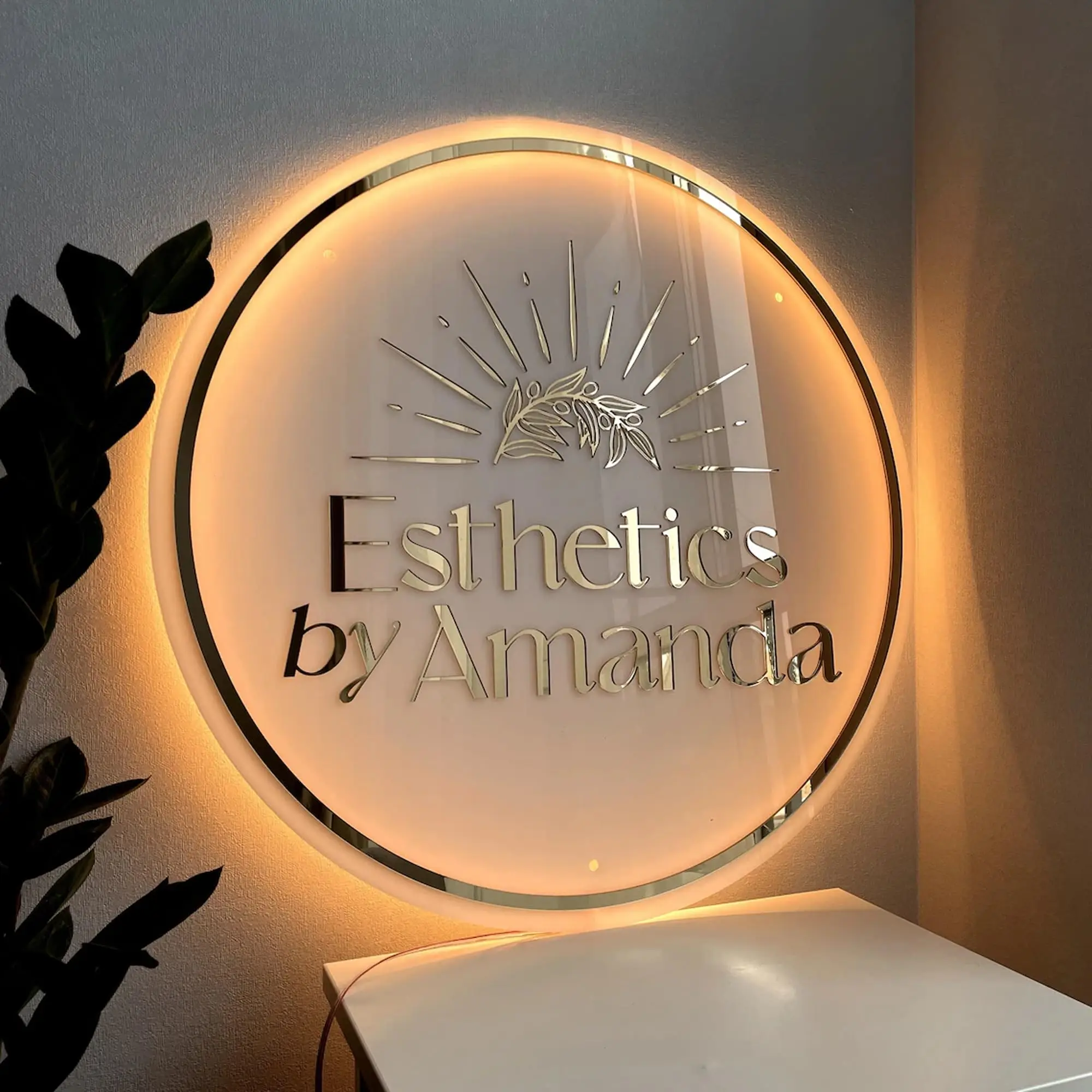 Acrylic Sign Personalise Signboard Business Neon LED Circle Backlight Name Decor Office Door Sign Wall Decor Signs