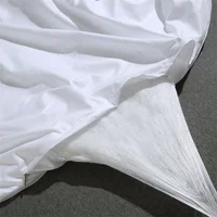 Natural Mulberry Silk Duvet Luxury Queen King Size Comforter Summer Winter Quilt Single Couple Bedding Filler Bedding 5