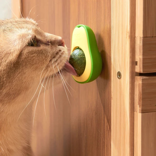Natural Catnip Healthy Rotatable Wall Stick-on Ball Cats Teeth Cleaning Catnip Ball Toys cat Catnip Scratching Supplies 2
