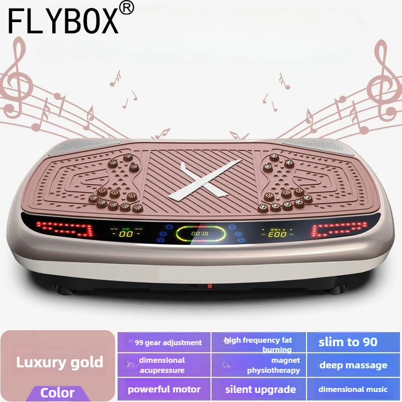 Slimming and Grease Shaking Machine Vibration Shaking Machine Lazy ...