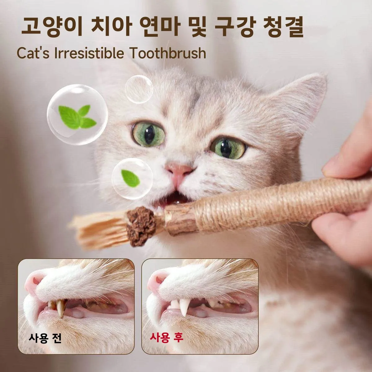 텅야오가오 고양이 이빨 갈이 스틱 필로덴드론 치아 청소 천연 풀 장난감 구강 청결용 강아지 장난감 애완동물 용품