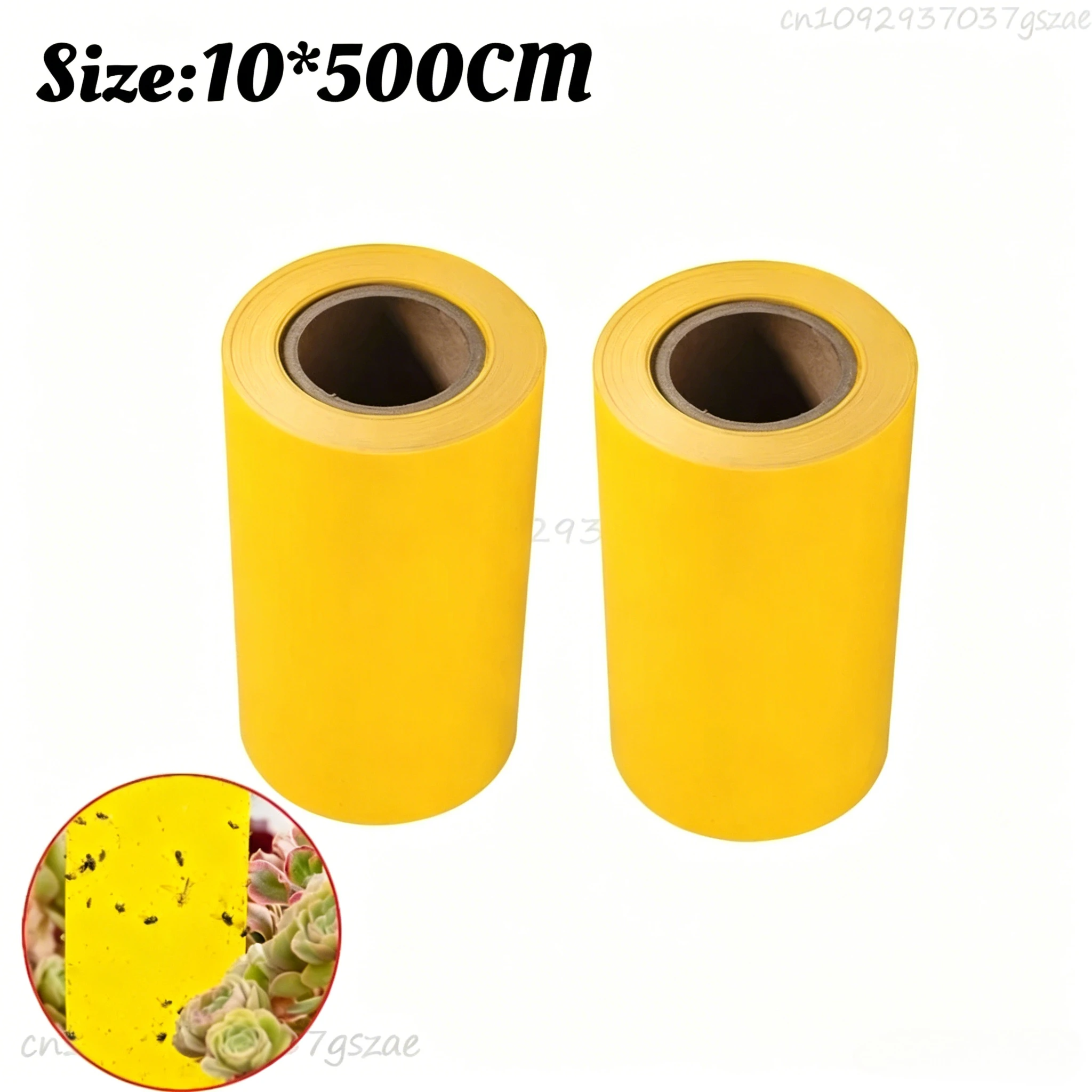 2Rolls(10M)