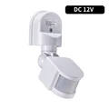 DC12V White