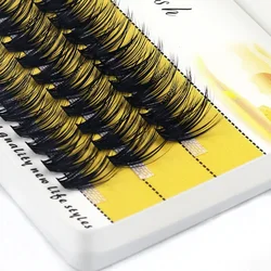 Volume Cluster Eyelashes - Natural Individual Extensions, 60 Bundles per Box, Soft Lashes for Makeup Tools Wholesale (40D)
