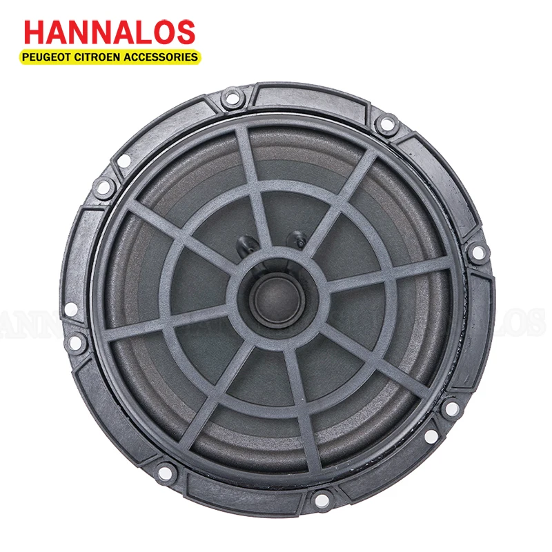 Peugeot 307 Rear Door Speakers Pioneer 5.25" 13cm Car Speaker Kit 250W
