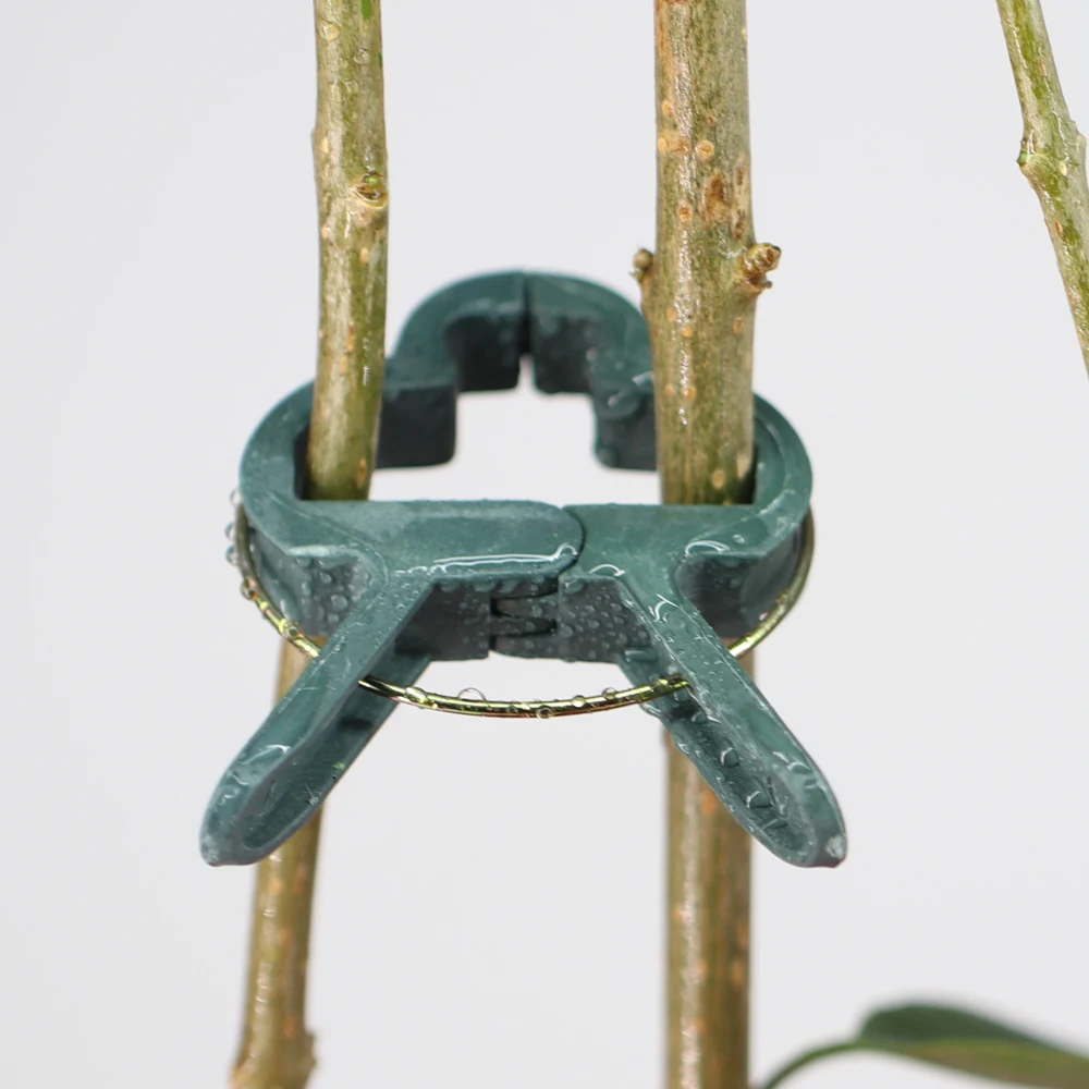 Plastic plant clips,plant clips,plastic plant supports,plant climbing support,plant stem support,plant support connector,plant support stick,plant ties Plant Clips 2 Sizes Adjusting Garden Reusable Climbing Supports for Fixing Stems of Flower Vine Vegetables Tomatoes Fastener