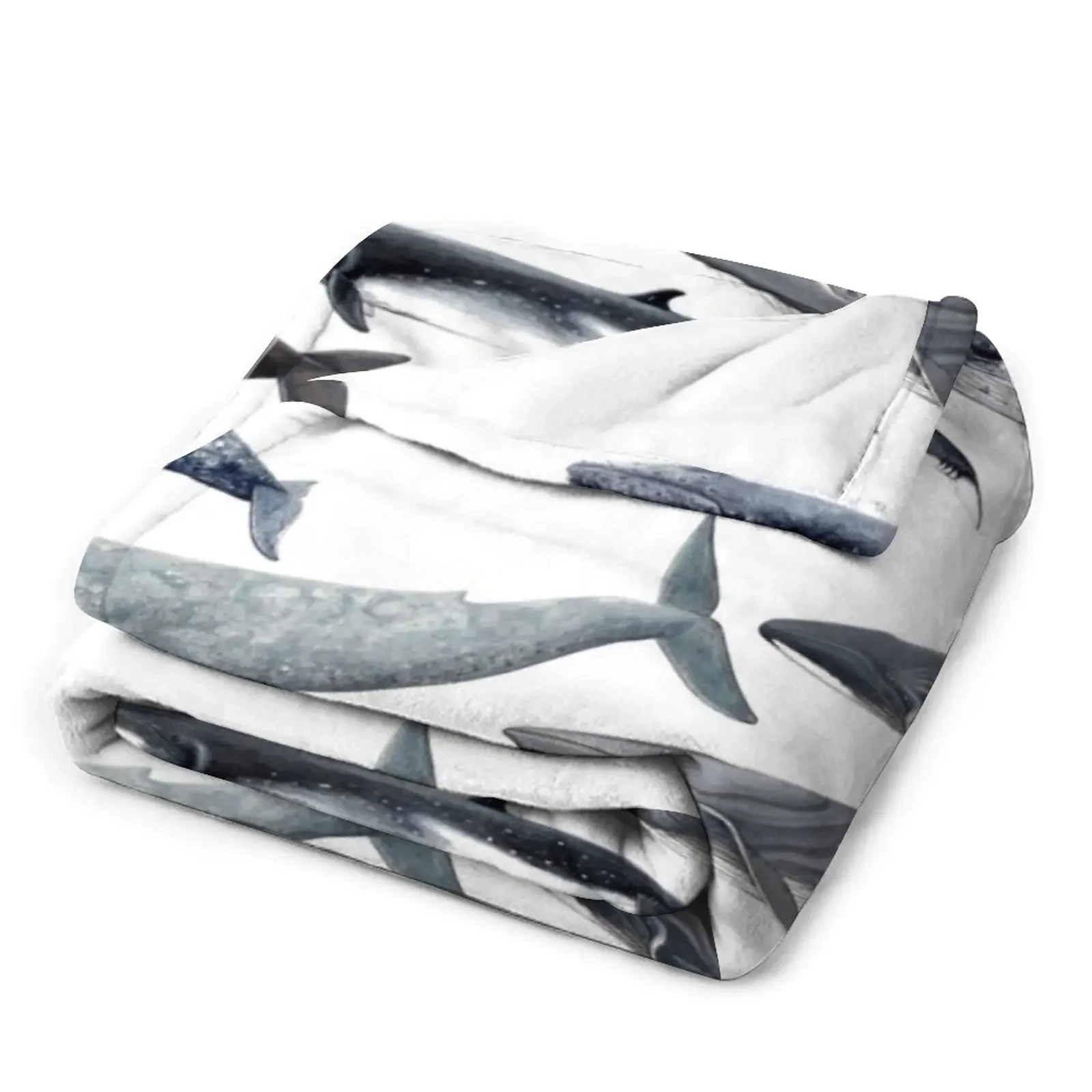 ������ ������ ���� ������ ���, �Ƹ��ٿ� ���ſ� ħ�� ����, ���� ���