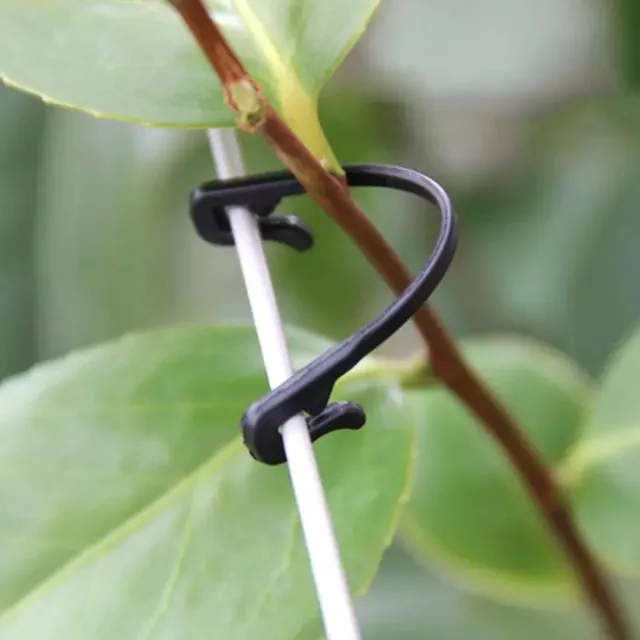 50 db Szőlő Kötő Klipek Tartó Hookgrape Huzal Hajlítható Kábelkötegek Növényekhez Ágak - Image 2
