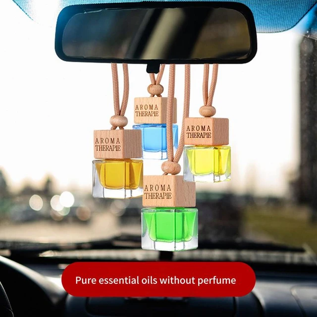 Lot de 10 désodorisants pour voiture, aromathérapie, diffuseur d'huiles  essentielles à suspendre - Accessoires de décoration : : Auto et  Moto