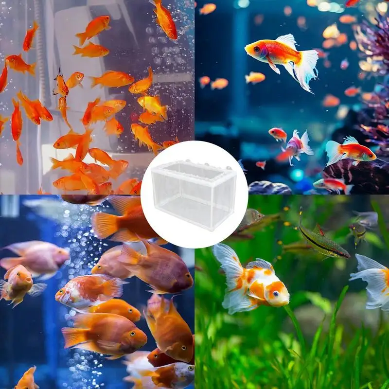 Fish Breeder Box with Suction Aquarium Breeder Box Fish Incubator Mesh tank breeding isolation box Fry Hatchery