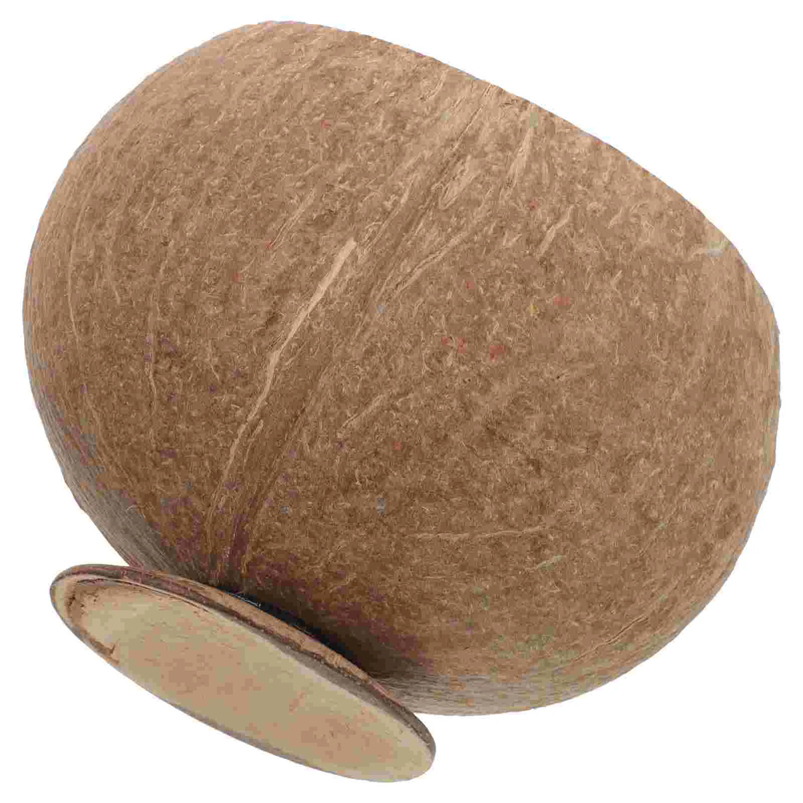 ڳ  ׸  ڳ  ġ,  ȣ ̳  뺧Ƽ ׸, ȸ 